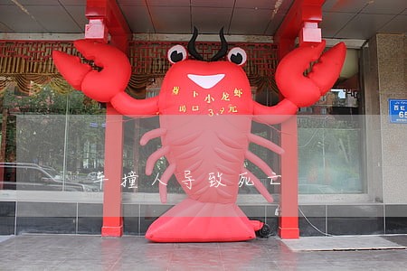 车撞人导致死亡 车撞人导致死亡