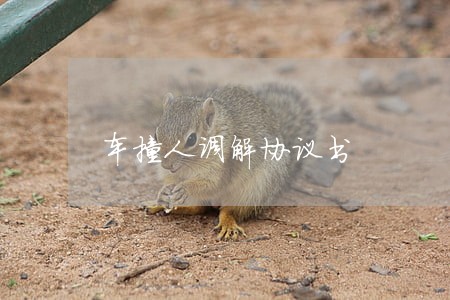 车撞人调解协议书 车撞人调解协议书