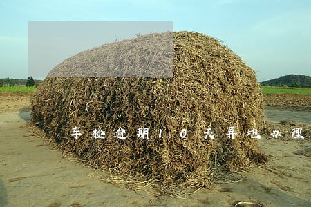 车检逾期10天异地办理 车检逾期10天异地办理