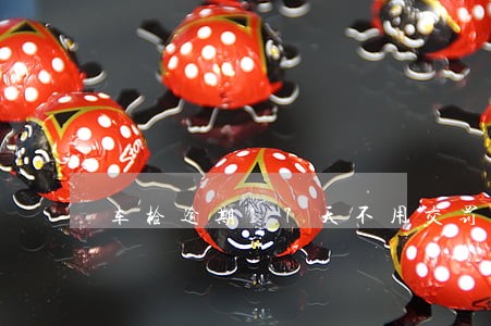 车检逾期17天不用交罚款吧 车检逾期17天不用交罚款吧