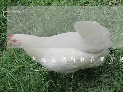 车检逾期罚款在哪个银行交 车检逾期罚款在哪个银行交