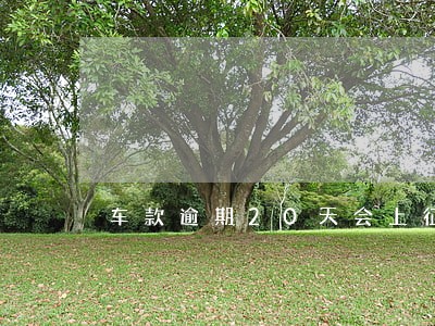 车款逾期20天会上征信吗 车款逾期20天会上征信吗