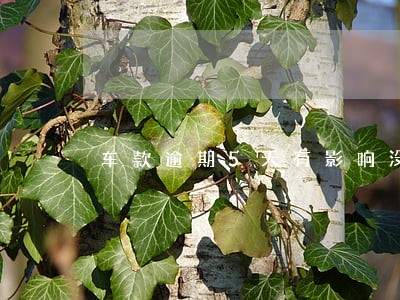 车款逾期5天有影响没 车款逾期5天有影响没