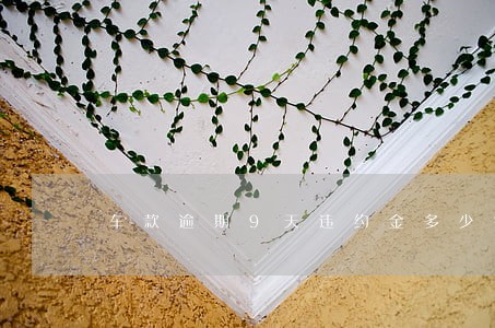 车款逾期9天违约金多少钱 车款逾期9天违约金多少钱