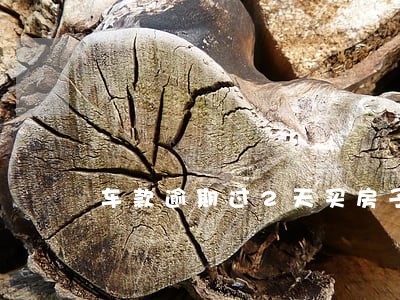 车款逾期过2天买房子 车款逾期过2天买房子