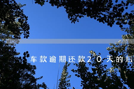 车款逾期还款20天的后果 车款逾期还款20天的后果