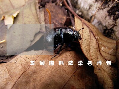 车润海刑法学名师包 车润海刑法学名师包