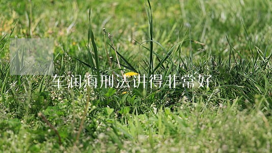 车润海刑法讲得非常好 车润海刑法讲得非常好