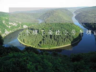车牌下面挂小号车牌违法吗 车牌下面挂小号车牌违法吗
