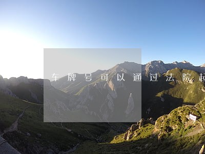 车牌号可以通过法院起诉她吗 车牌号可以通过法院起诉她吗