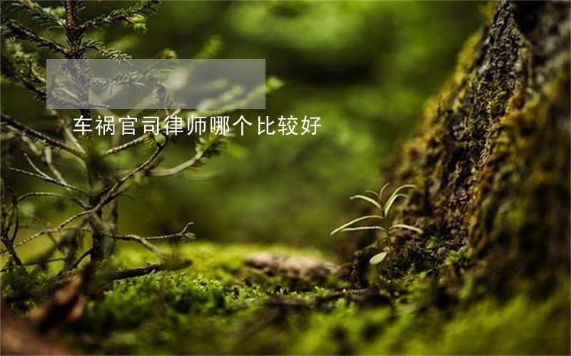 车祸官司律师哪个比较好 车祸官司律师哪个比较好