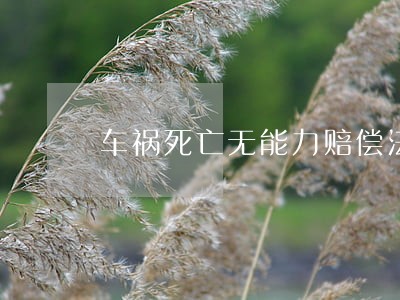 车祸死亡无能力赔偿法院执行房产 车祸死亡无能力赔偿法院执行房产