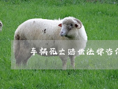 车祸死亡赔偿法律咨询 车祸死亡赔偿法律咨询