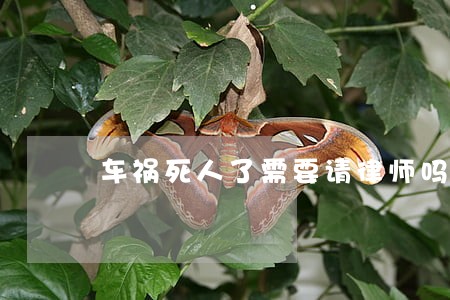 车祸死人了需要请律师吗 车祸死人了需要请律师吗