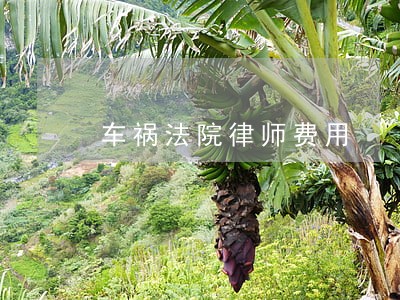 车祸法院律师费用 车祸法院律师费用