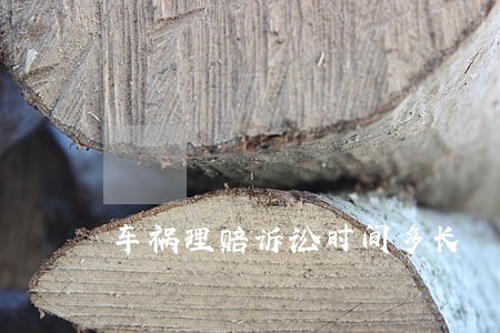车祸理赔诉讼时间多长 车祸理赔诉讼时间多长