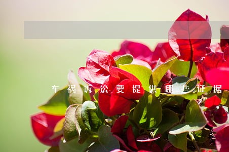 车祸诉讼要提供哪些证据