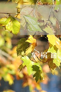 车祸逾期超过6个月怎么处理 车祸逾期超过6个月怎么处理