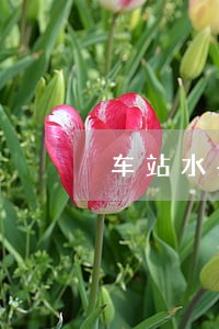 车站水果刀没收了算违法吗