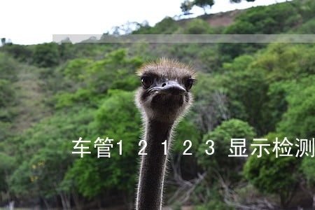 车管12123显示检测逾期 车管12123显示检测逾期