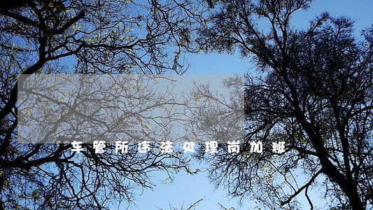 车管所违法处理岗加班