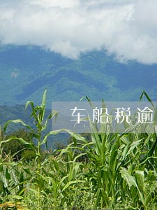 车船税逾期影响信用吗 车船税逾期影响信用吗