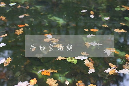 车融宝逾期 车融宝逾期