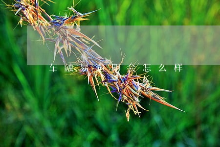 车融易逾期会怎么样 车融易逾期会怎么样