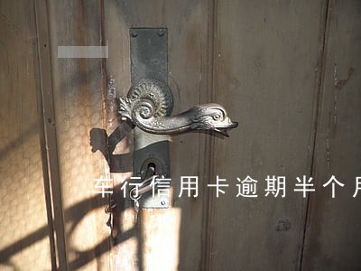 车行信用卡逾期半个月还能用吗 车行信用卡逾期半个月还能用吗