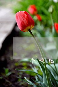 车被拖走逾期超过15天 车被拖走逾期超过15天