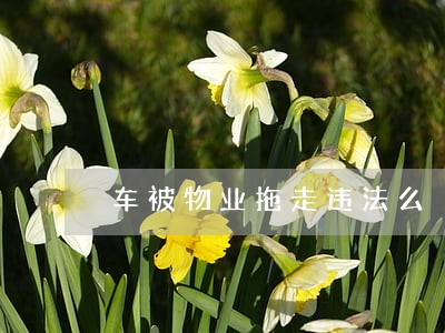 车被物业拖走违法么