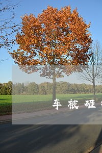 车被砸报废起诉法院怎么赔偿 车被砸报废起诉法院怎么赔偿