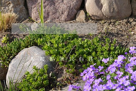 车被贴条只有违法地能查到 车被贴条只有违法地能查到