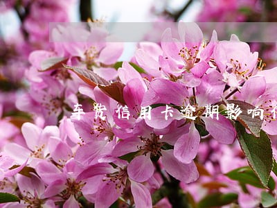 车货信用卡逾期影响信用卡不 车货信用卡逾期影响信用卡不