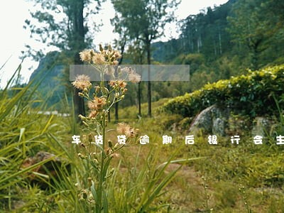 车货贷逾期后银行会主动联系吗 车货贷逾期后银行会主动联系吗