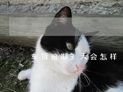 车货逾期3天会怎样 车货逾期3天会怎样