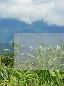 车货逾期影响信用度吗 车货逾期影响信用度吗