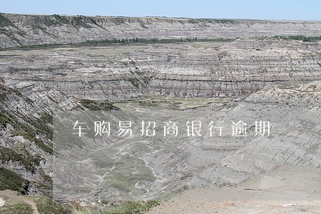 车购易招商银行逾期 车购易招商银行逾期