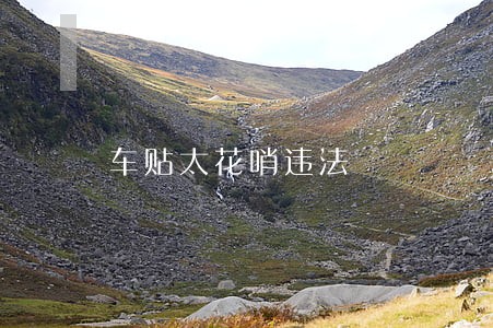 车贴太花哨违法
