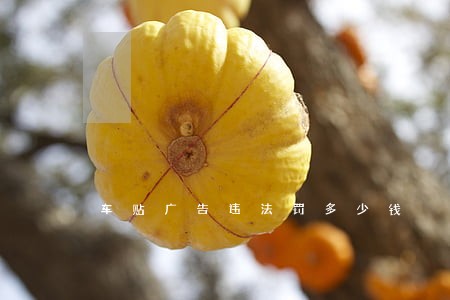 车贴广告违法罚多少钱 车贴广告违法罚多少钱