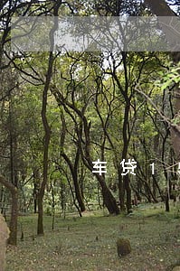 车贷15万逾期两个月 车贷15万逾期两个月