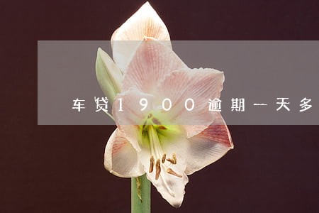 车贷1900逾期一天多 车贷1900逾期一天多