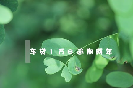车贷1万8逾期两年