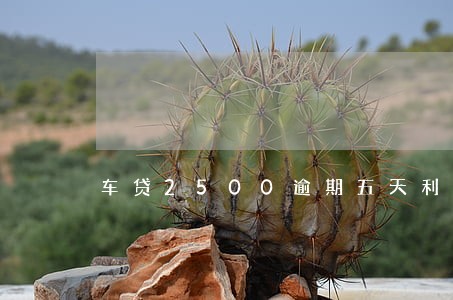 车贷2500逾期五天利息多少 车贷2500逾期五天利息多少
