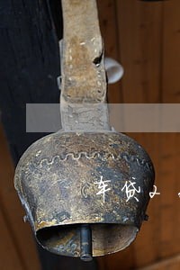 车贷2600逾期一有多费用 车贷2600逾期一有多费用