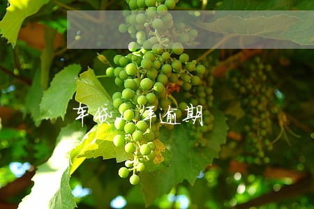 车贷2年逾期 车贷2年逾期