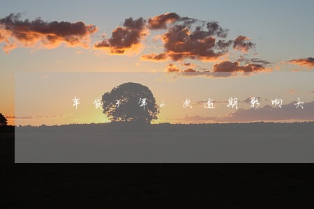 车贷3年2次逾期影响大吗
