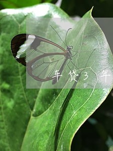 车贷3年还款总共逾期2次 车贷3年还款总共逾期2次