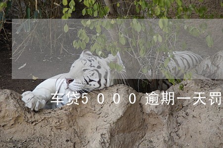 车贷5000逾期一天罚多少 车贷5000逾期一天罚多少