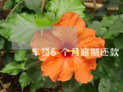 车贷6个月逾期还款 车贷6个月逾期还款